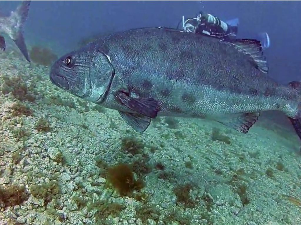 3f9c65d7-47b7-4df8-8b6d-9fe96f5b705a