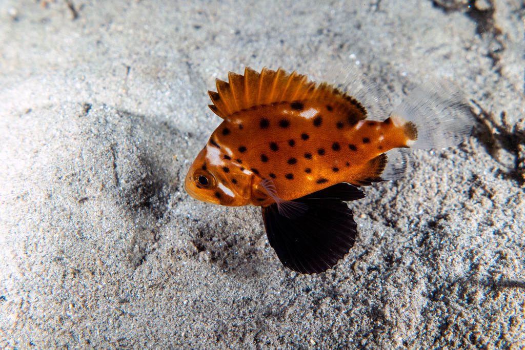 a9f129fa-dd8e-442f-9646-b97a991aa521