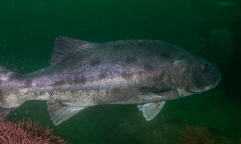 78beda97-d87e-4d78-949a-feee67f2a89d