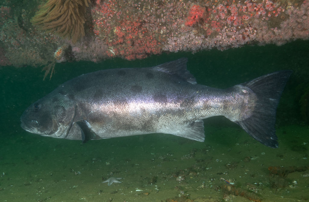 78beda97-d87e-4d78-949a-feee67f2a89d