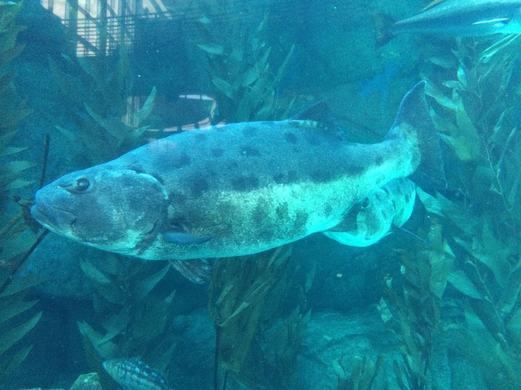 2f108471-2a01-4808-a015-bacbe5ad035b