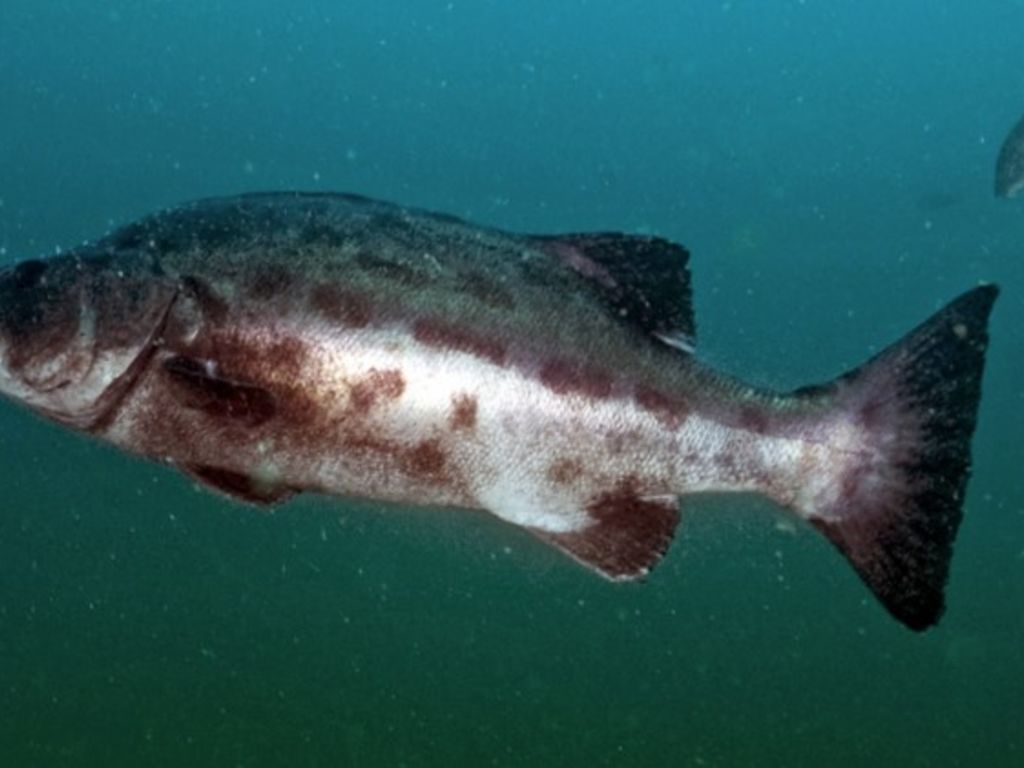 e4696172-67eb-4c6d-b913-3ce1ccbc1350