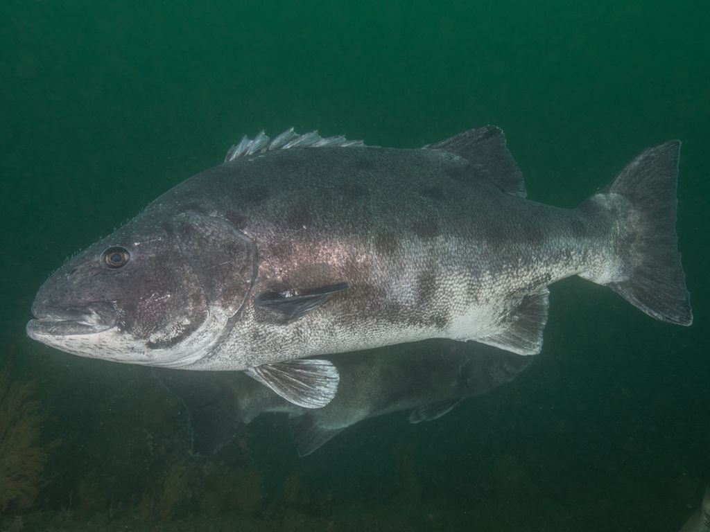 ab348a65-3e87-41ae-b843-affc765f7ff9