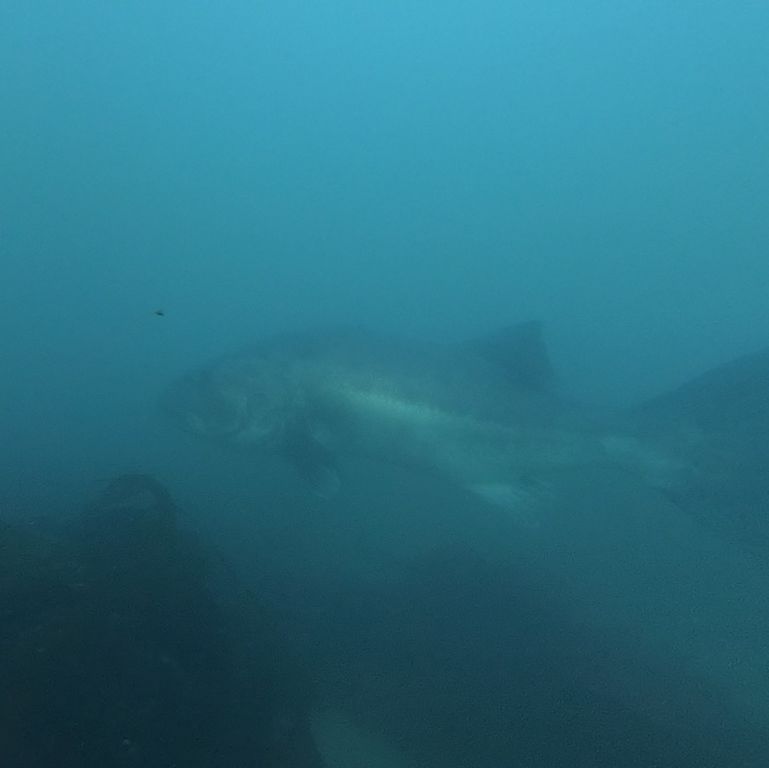 443e9ad7-373d-4c48-8e99-9cf95a6390b6