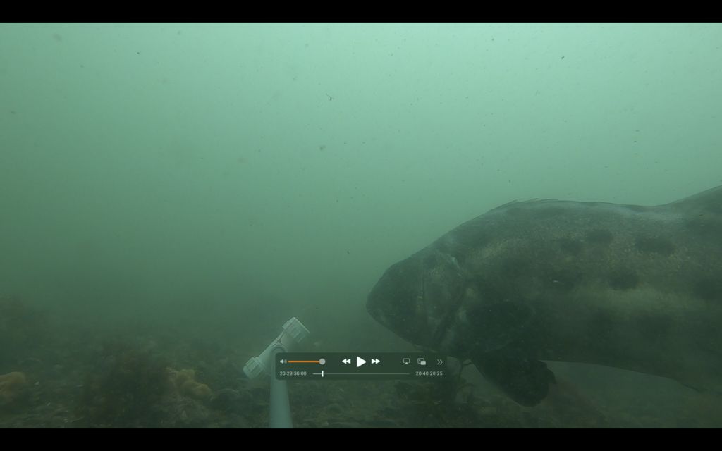 73959f10-0087-4608-851f-495cea6ecac0