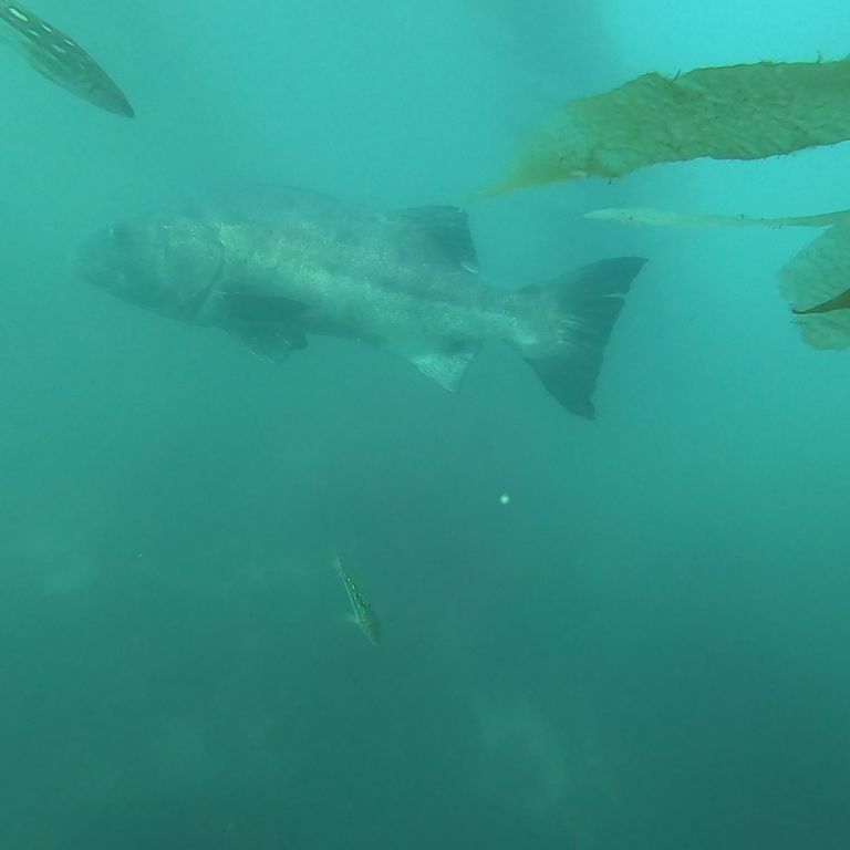 32c0e6fa-e2b0-4190-85ab-ec75f8d82e97