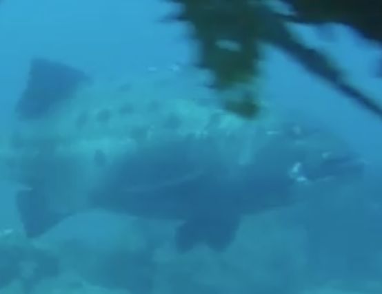 4808e944-00b5-4c76-b766-cd16d508680a