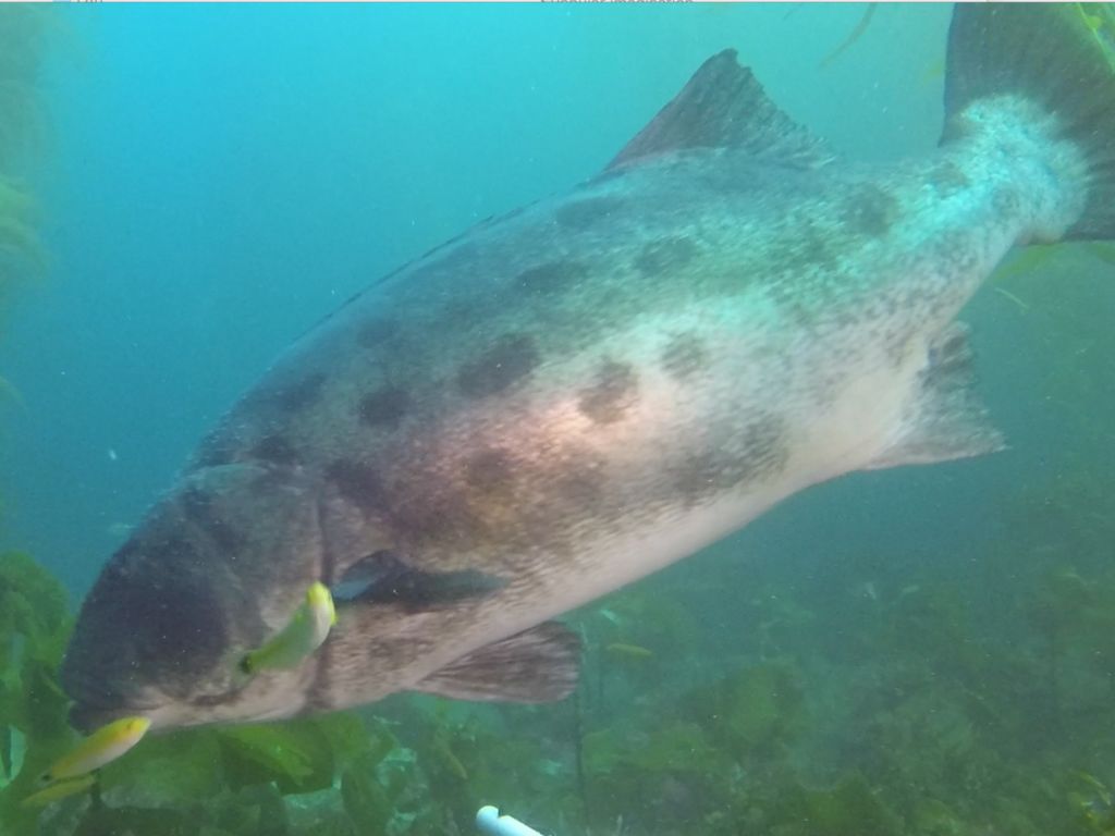 542c22a3-4833-4f84-b913-23d21dbc52fe