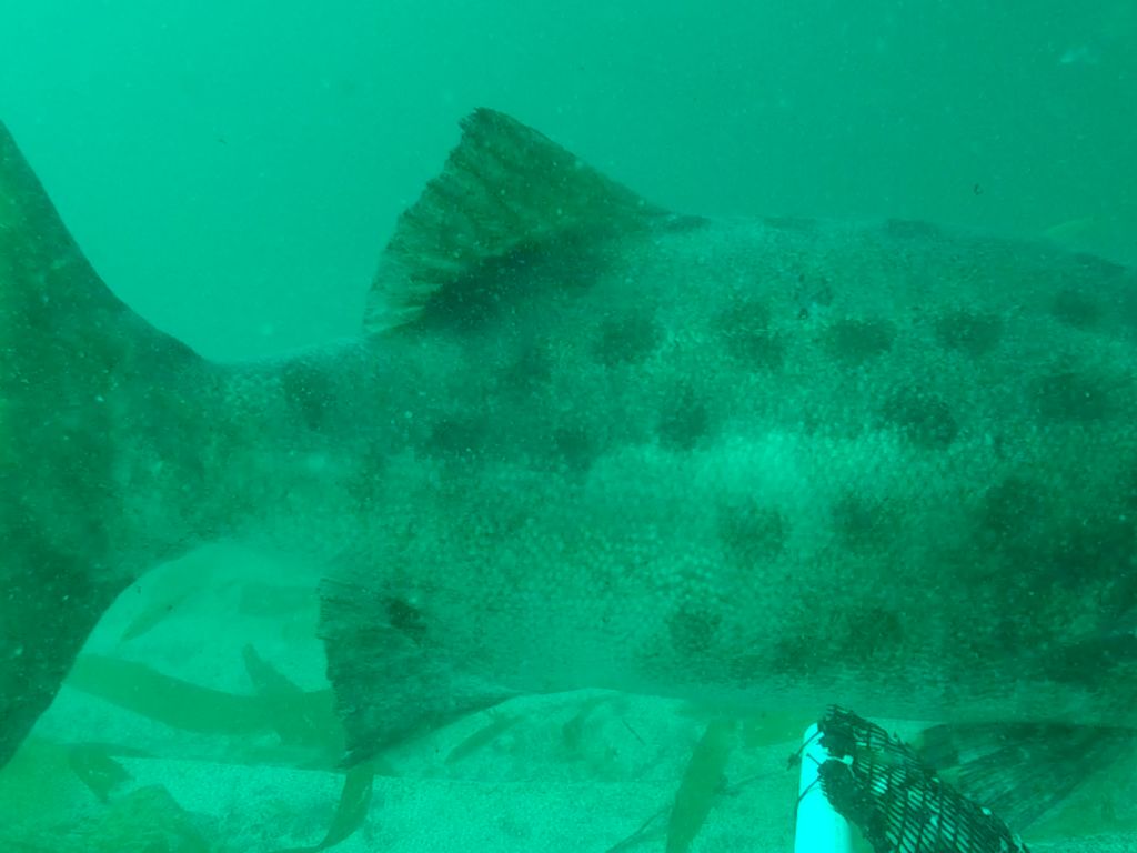 e840b207-ec4a-470c-aefb-1fa79043a889