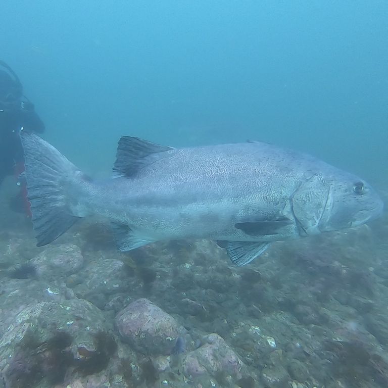 975d569b-8318-40ee-8b09-72d7d2118f18