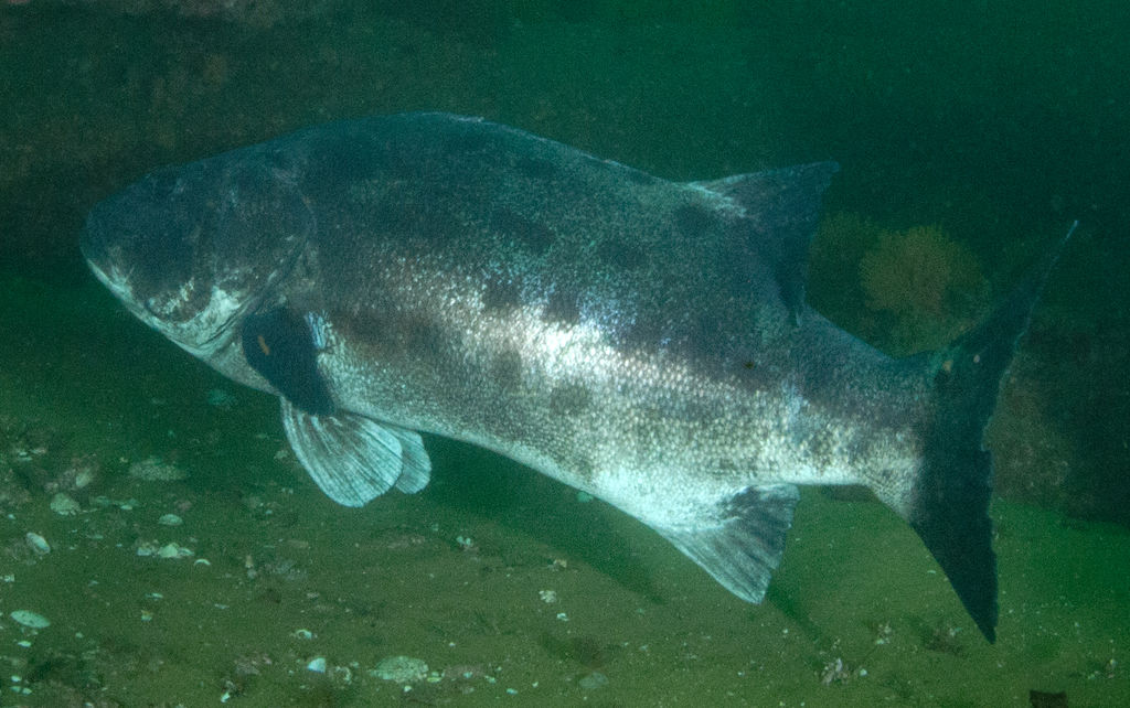 c43a18a3-602d-4937-941c-7073e17c77d2