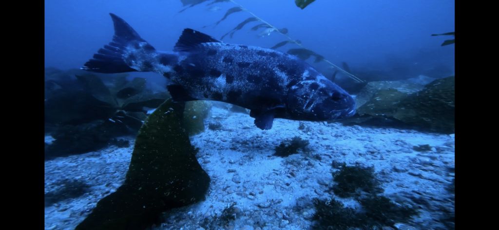 9c854830-ede1-4e1d-b3f7-c884b6c40a13