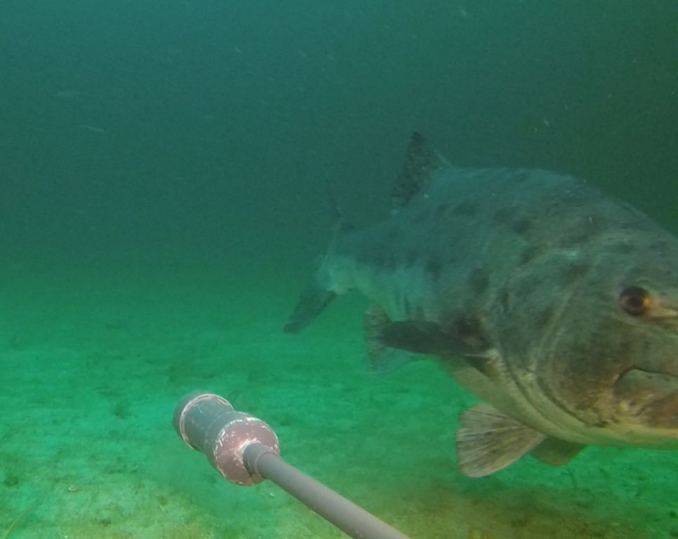 1b5dee8b-ef0d-4337-98af-6dc5ce751bc1