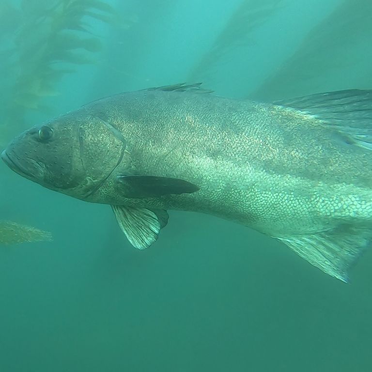 256eadb7-4868-4906-84d3-9bf98a81bdc6