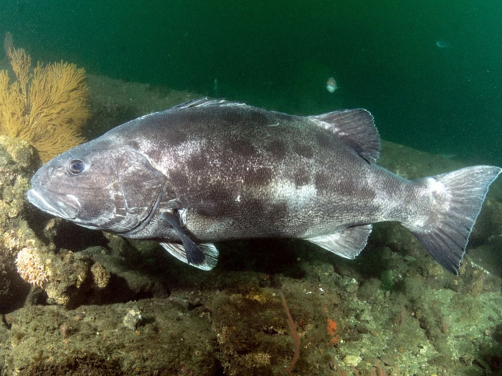 cdd1b46f-152b-49ab-8fd1-bb74dde8b2fc