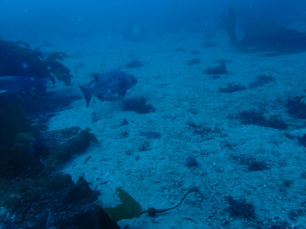 49b3516f-9666-4e30-b758-907c5d8087b7