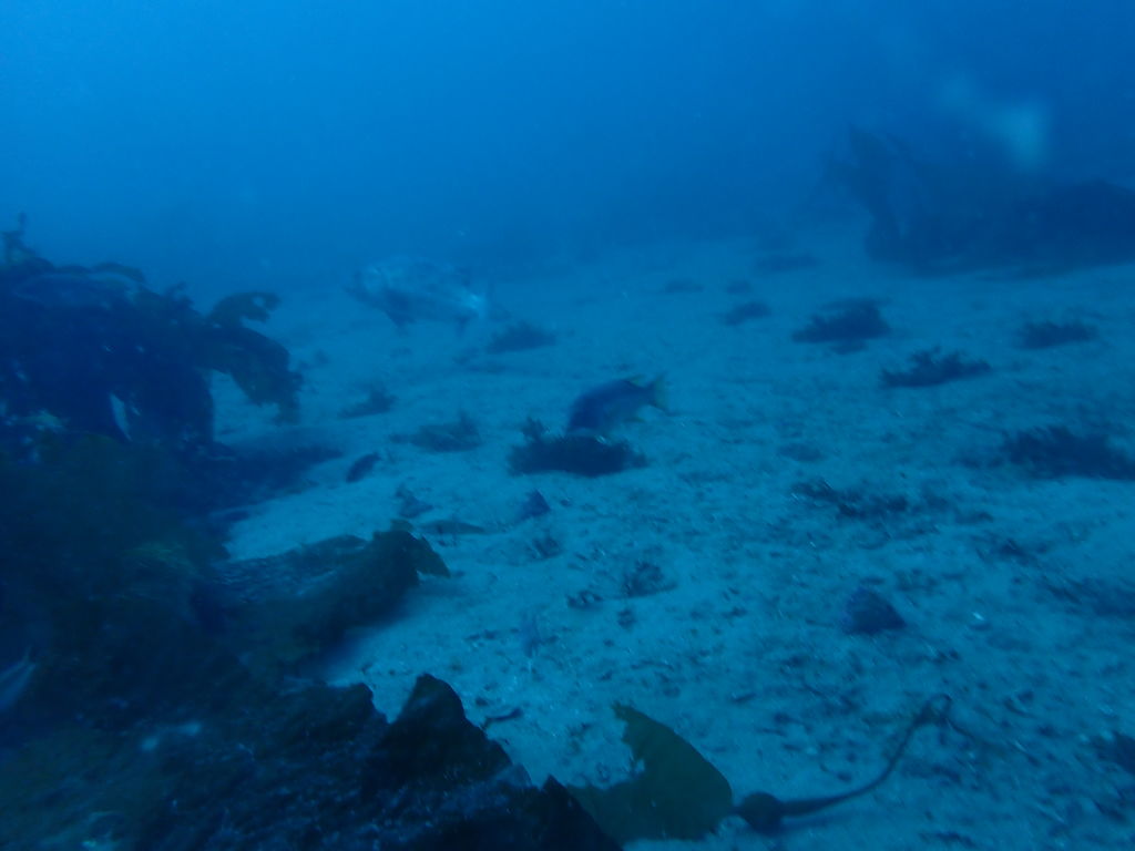 49b3516f-9666-4e30-b758-907c5d8087b7