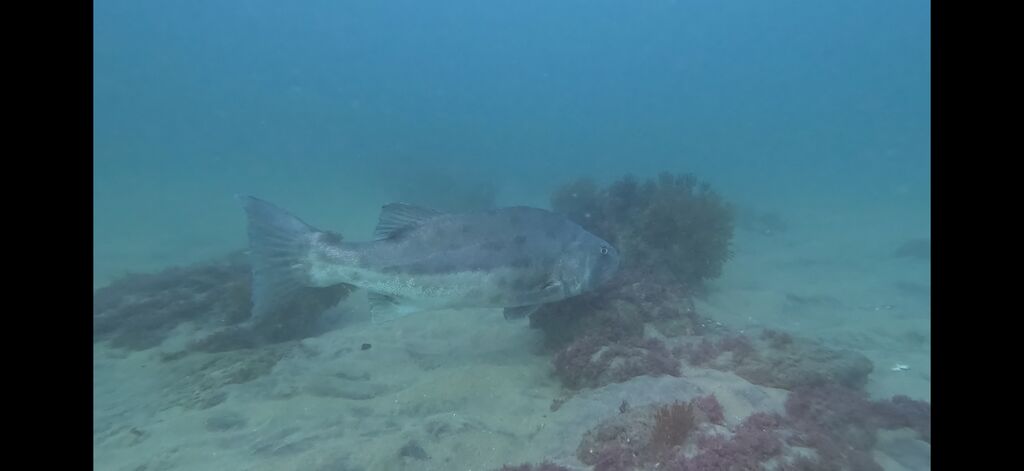 618f0f3e-a0a3-4c2a-a5c5-a86264ab1068