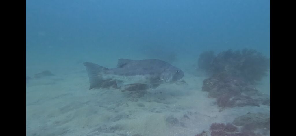 618f0f3e-a0a3-4c2a-a5c5-a86264ab1068