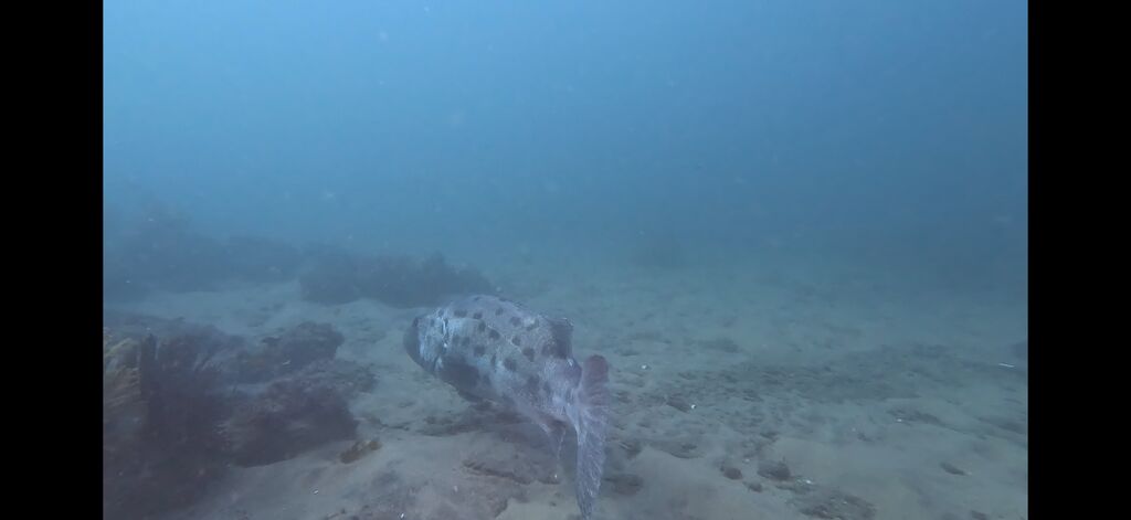 618f0f3e-a0a3-4c2a-a5c5-a86264ab1068