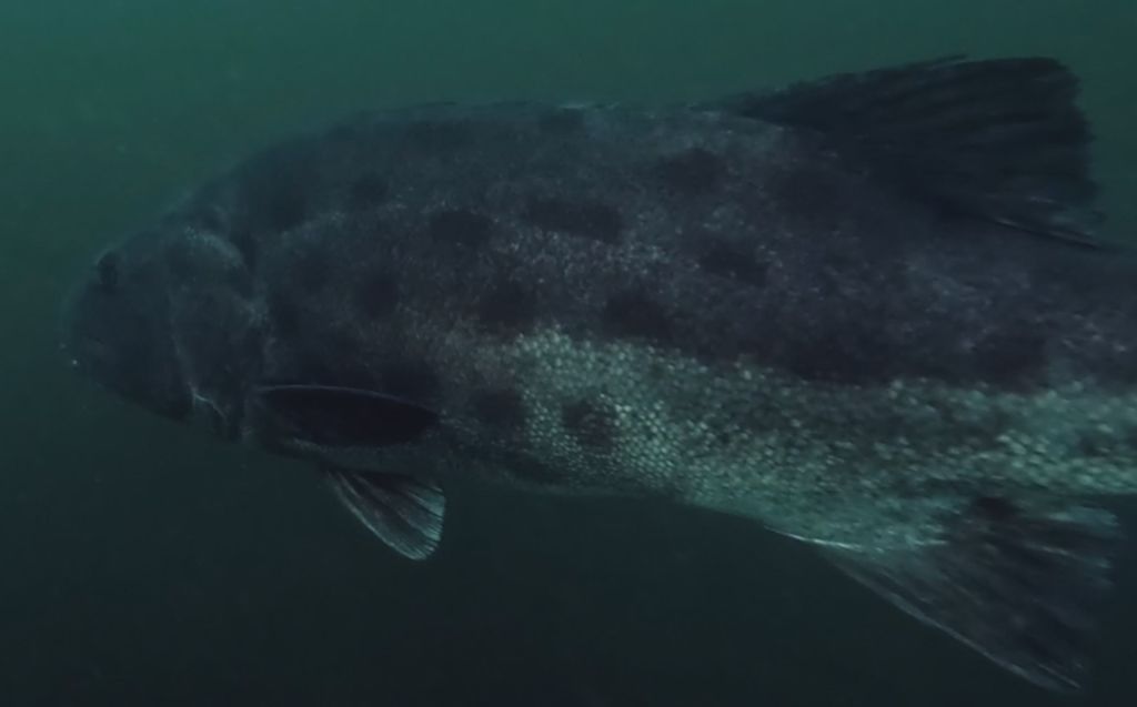 2df31a64-0946-4c37-8813-6946df5897ea