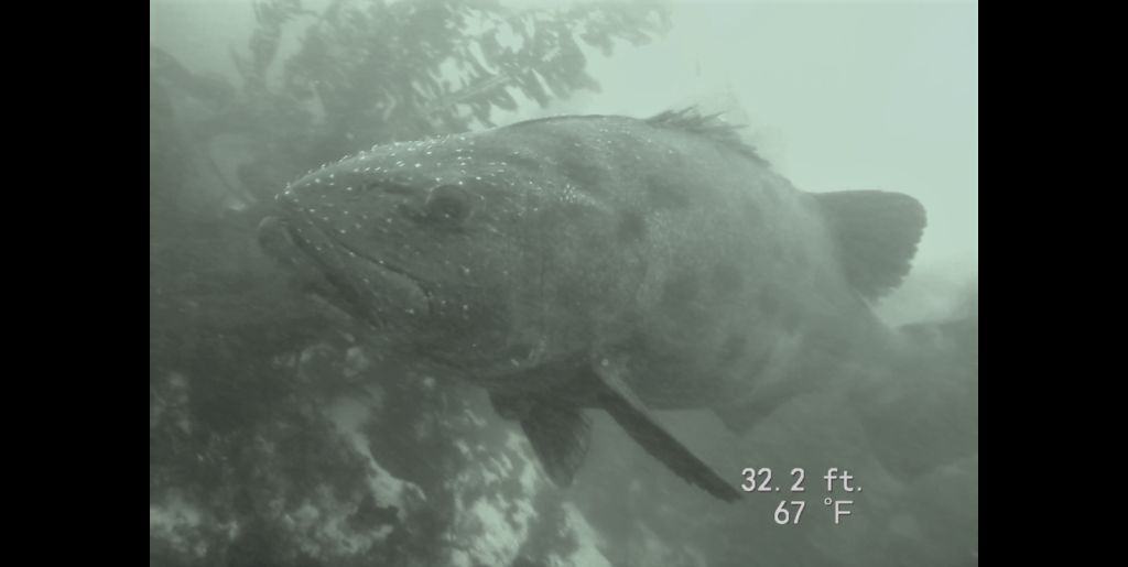 b03ac7b1-ee50-4724-a50a-3949a0766afb