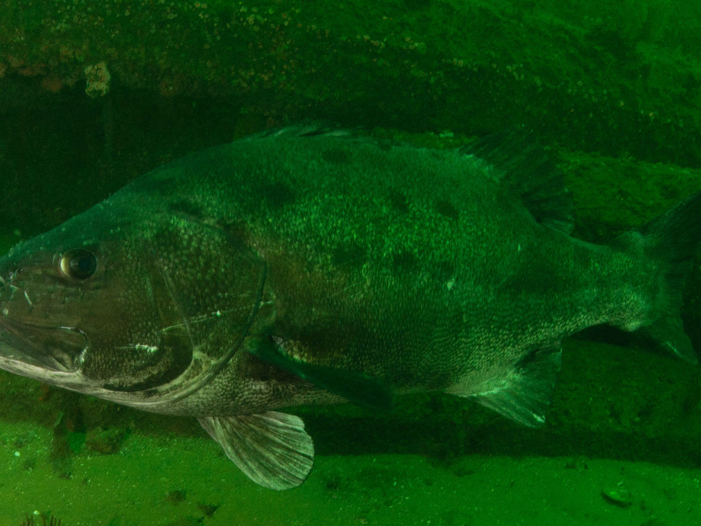 d1642d45-f86e-445b-8211-bd1165e0f6b3