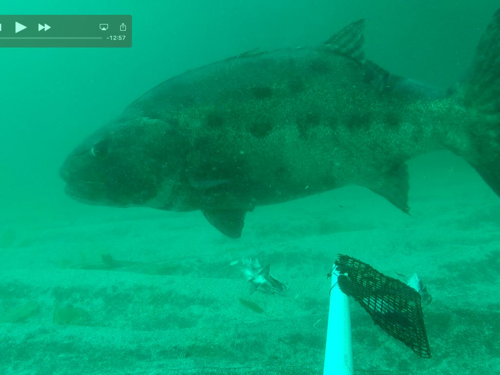 dd38fd36-1962-4b6a-9c6f-1e6e0f57dcd9