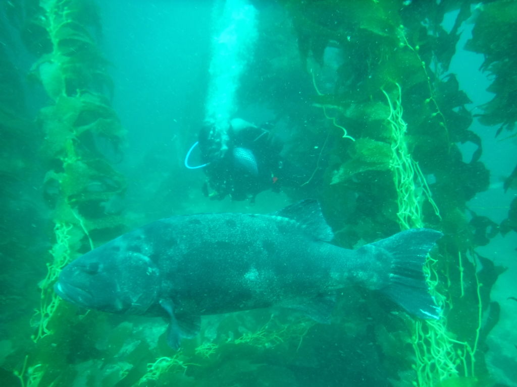 c0a64070-f155-4b32-bf0e-1681f476d409