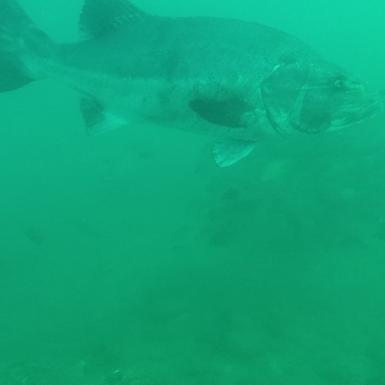 2f3d090c-9f5a-4873-a3c4-dbf6d139cb41