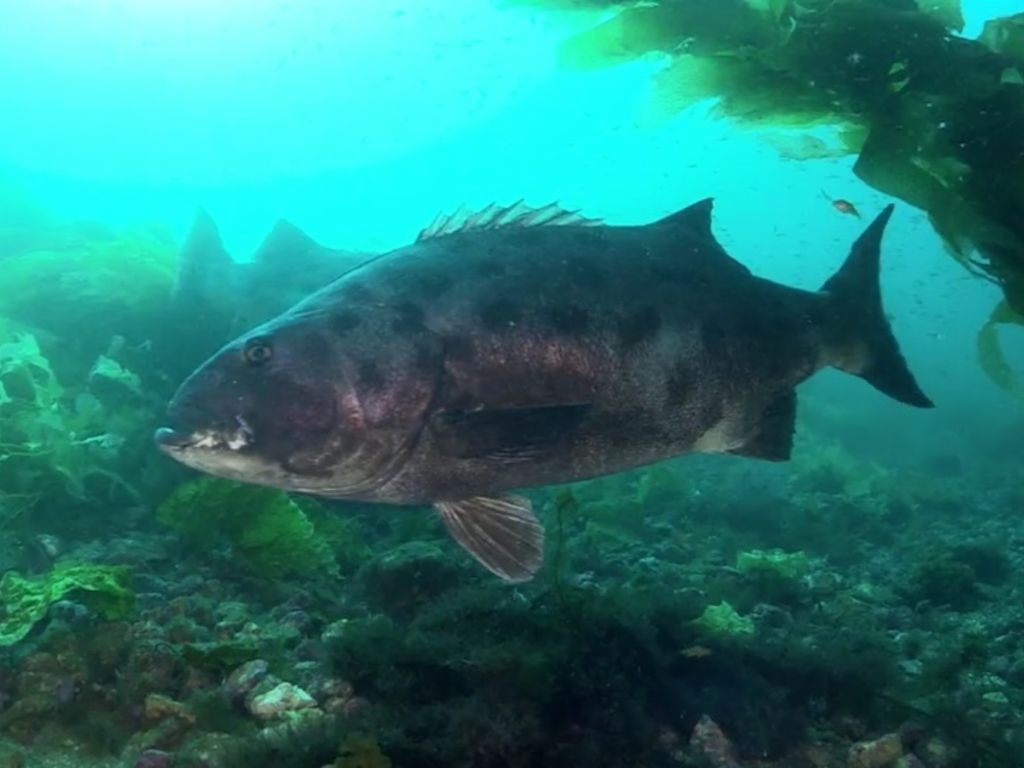 fd72530f-81e4-4fc6-90be-21a5f02d03af