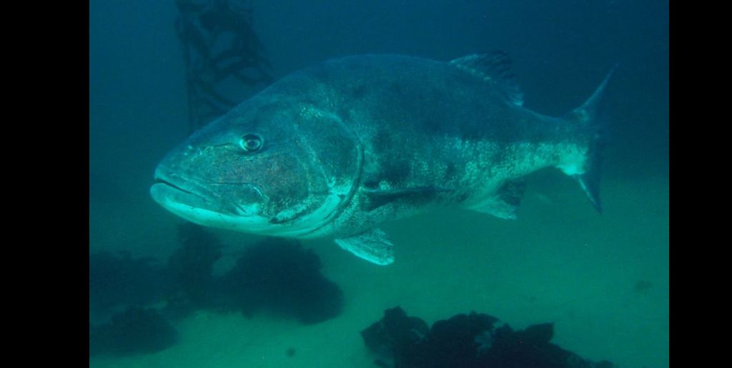 9379d562-33bd-4347-b47d-5ae771551be7