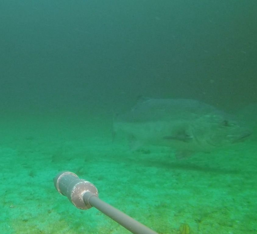 1b5dee8b-ef0d-4337-98af-6dc5ce751bc1