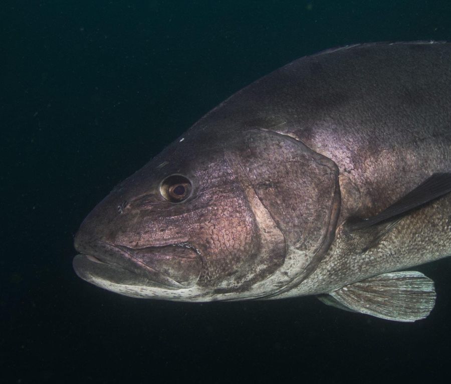 2c9ff642-4602-4e28-86f9-49be6369d1cb