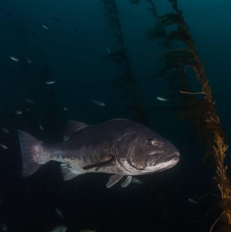 2c9ff642-4602-4e28-86f9-49be6369d1cb