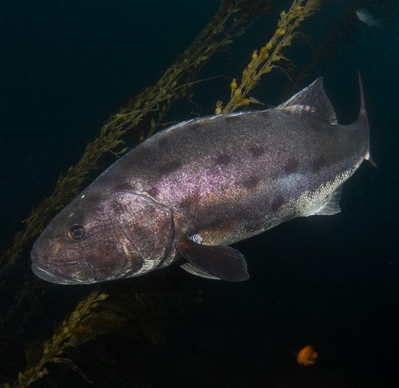 2c9ff642-4602-4e28-86f9-49be6369d1cb