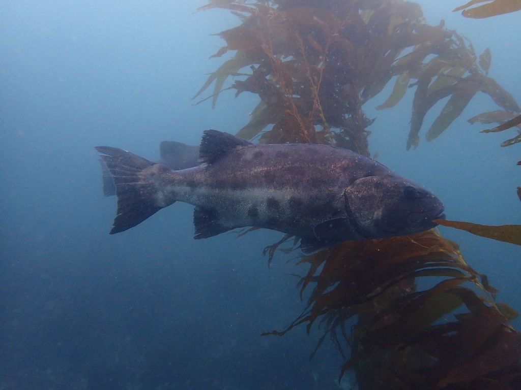 f999ff87-f3b1-4cb3-91c4-3e9aafd8e7c2