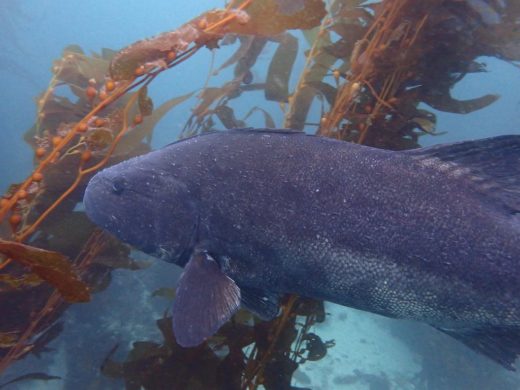 f999ff87-f3b1-4cb3-91c4-3e9aafd8e7c2