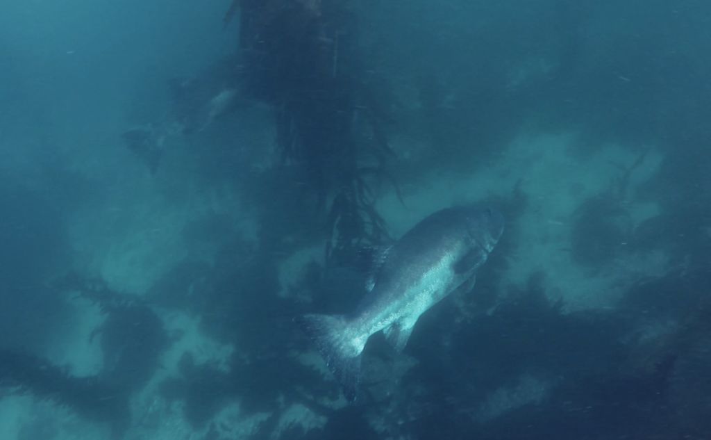 15e6b716-4802-4fb6-98b5-2097118006b8