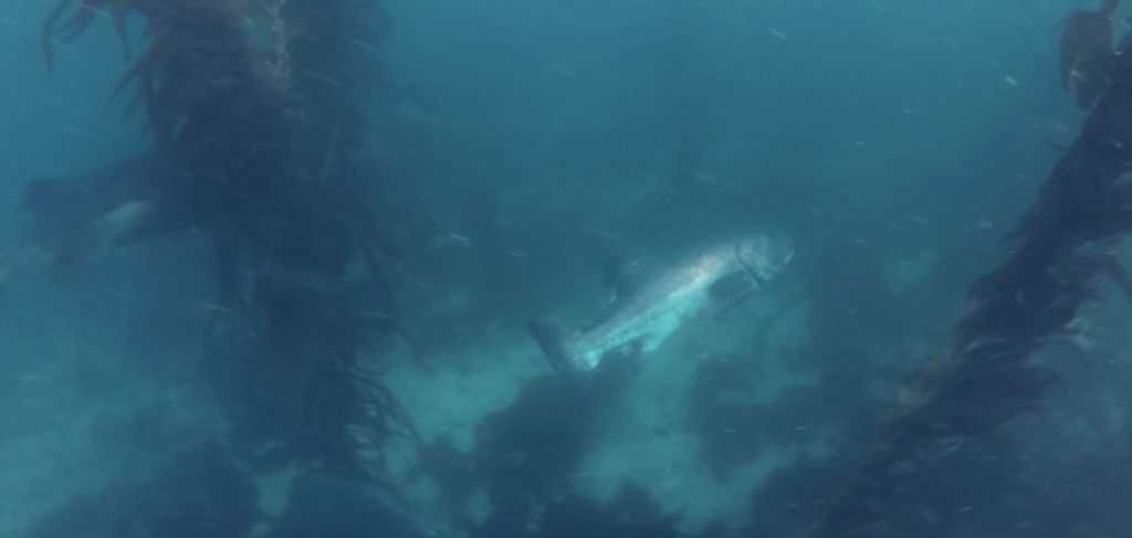 15e6b716-4802-4fb6-98b5-2097118006b8