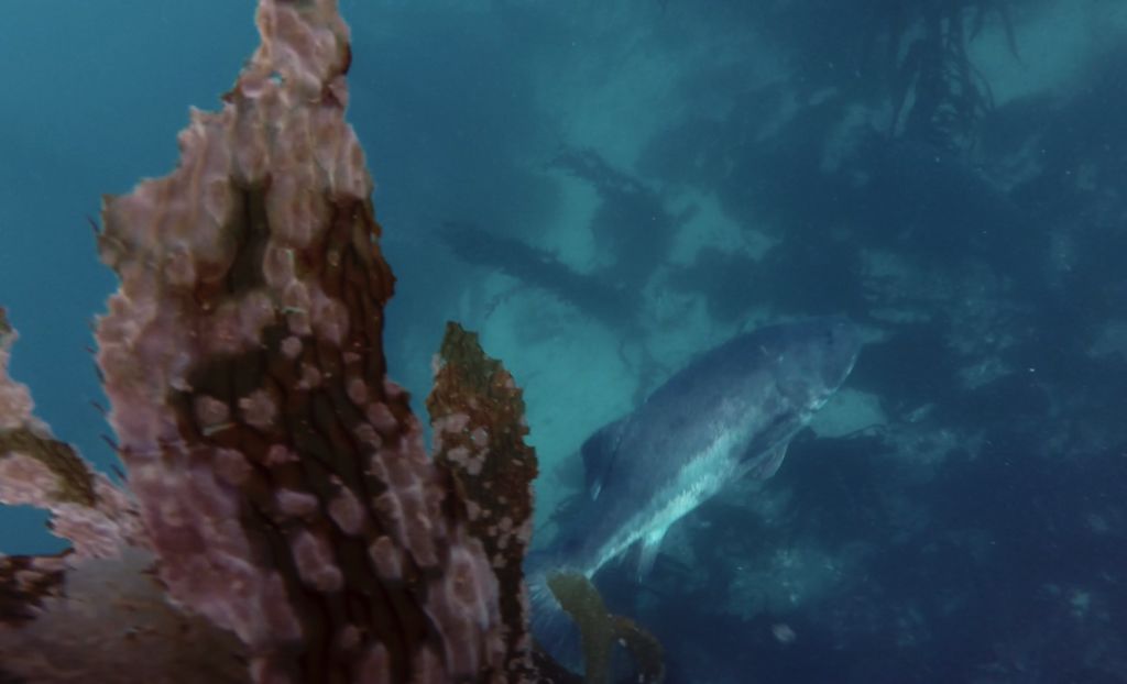 15e6b716-4802-4fb6-98b5-2097118006b8