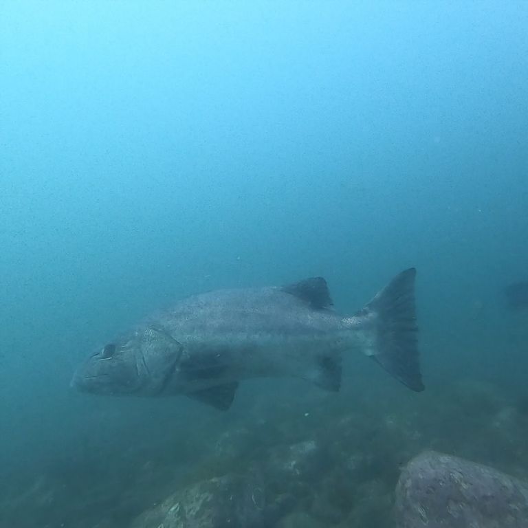 02d31e61-97e5-4a1f-a129-f06e79f7f1a8