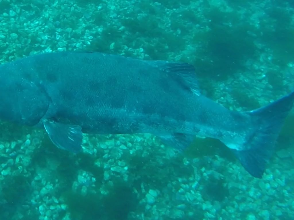 9ab95417-edec-4d3a-8268-a24789949d47