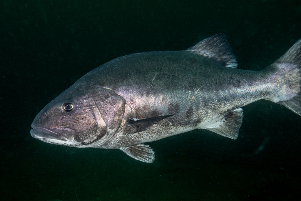 05743707-a36f-401f-bfdf-bc610e8d955f