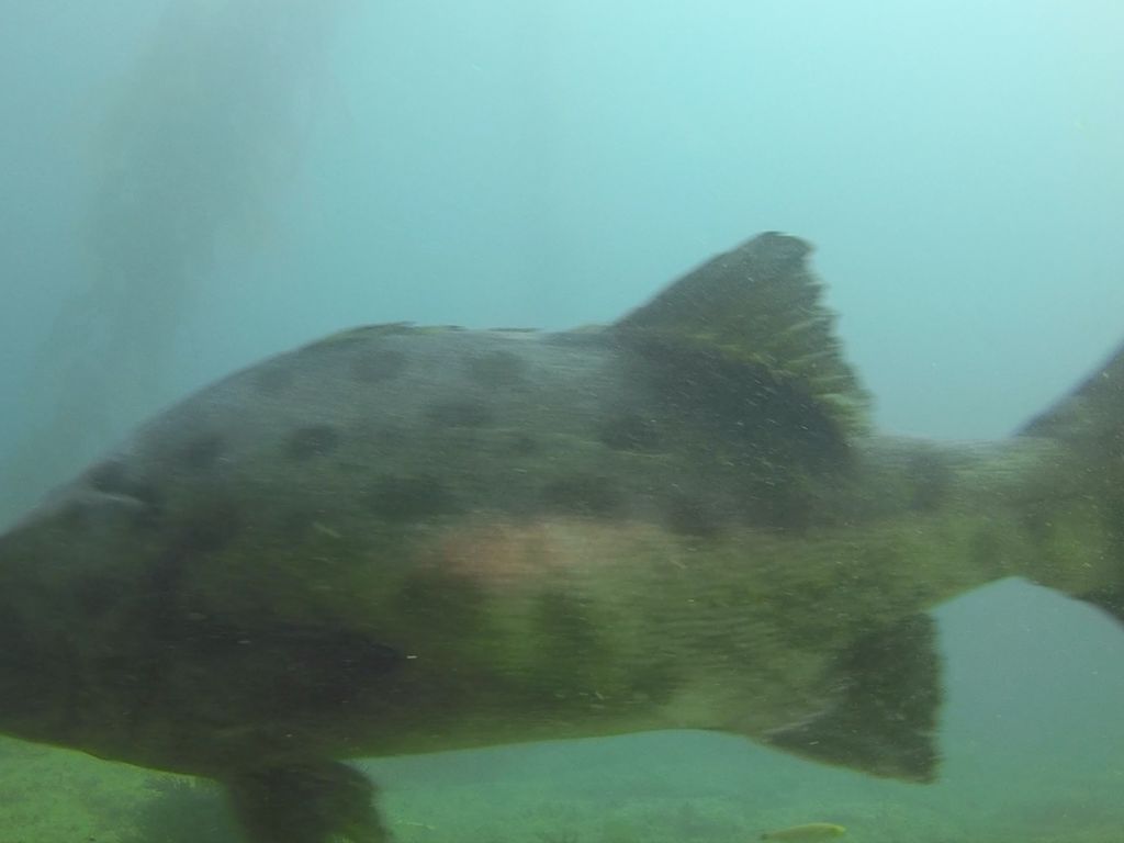 7536f494-a9c9-4bb1-92a9-5d0f1fd8dc83