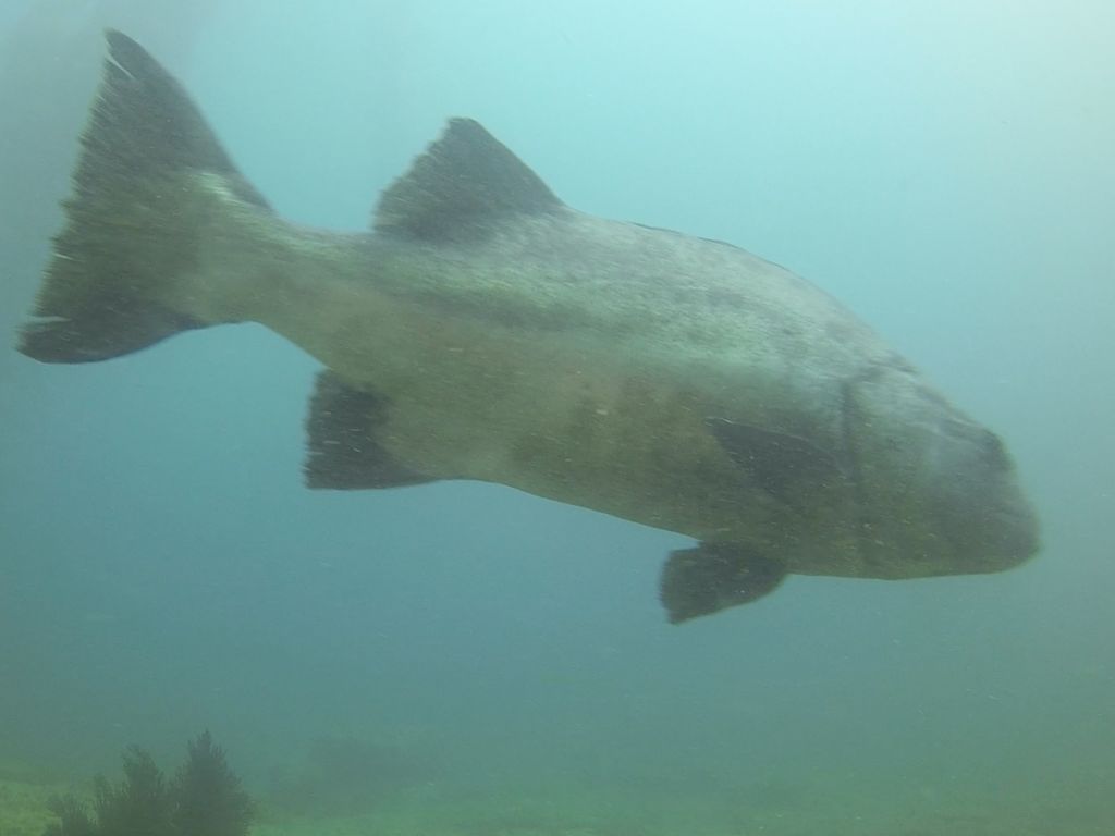 7536f494-a9c9-4bb1-92a9-5d0f1fd8dc83