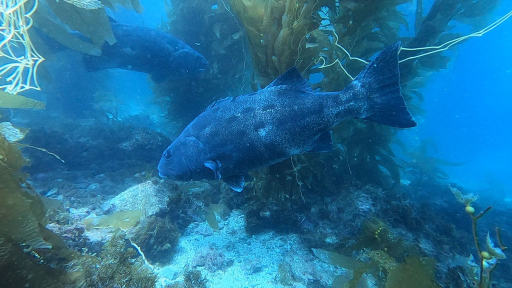 ff926d7d-d08b-40d5-9512-cf6753d0af88