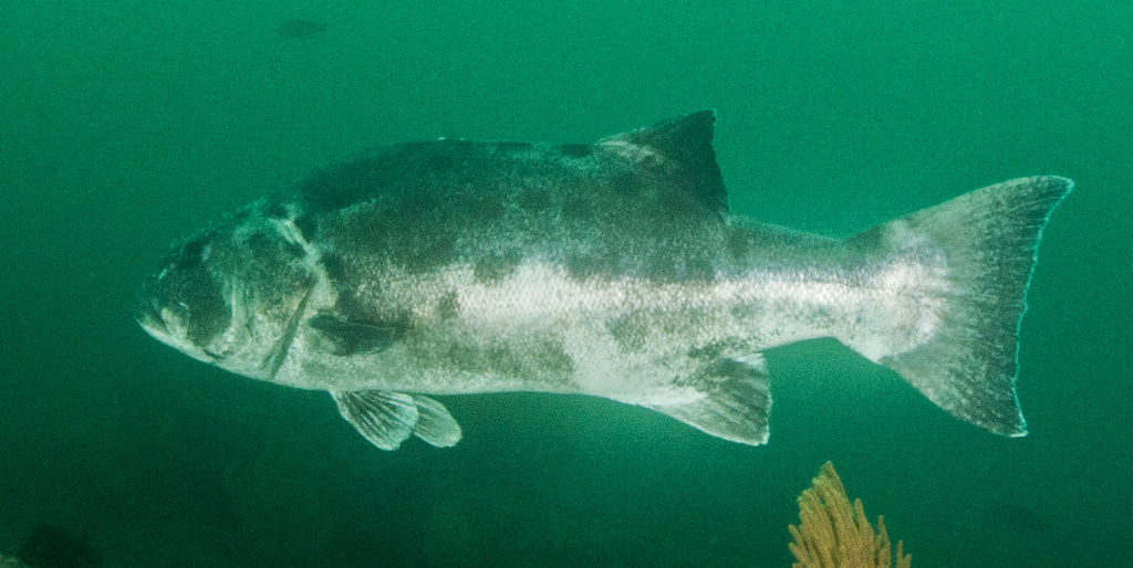 7463e525-6edd-452b-a7c7-1da056054b9e