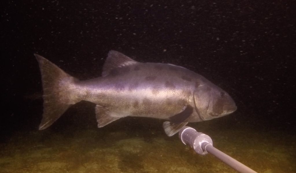 be2a89e5-38f0-41ae-a972-282b0249d36d