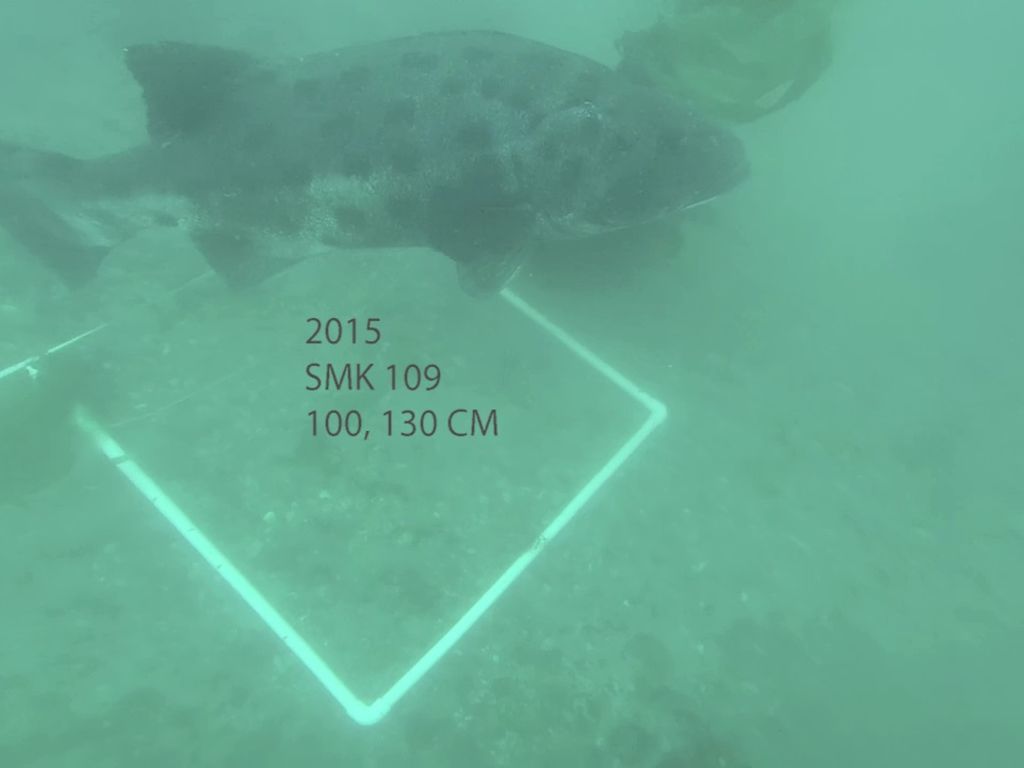 a90b6832-5f6a-4ae9-af23-13b5a9fdc082